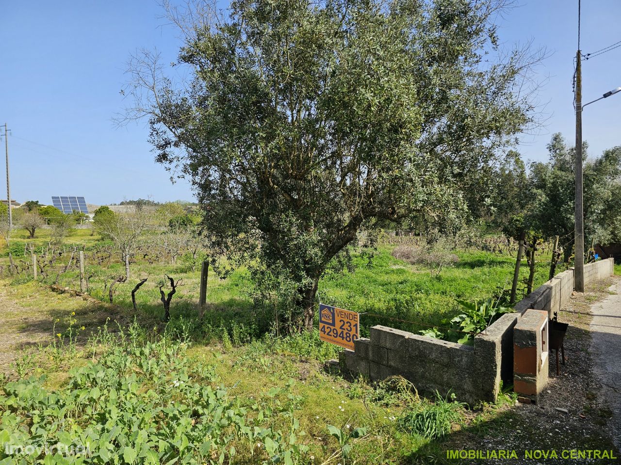 Lote de Terreno  Venda em Ourentã,Cantanhede