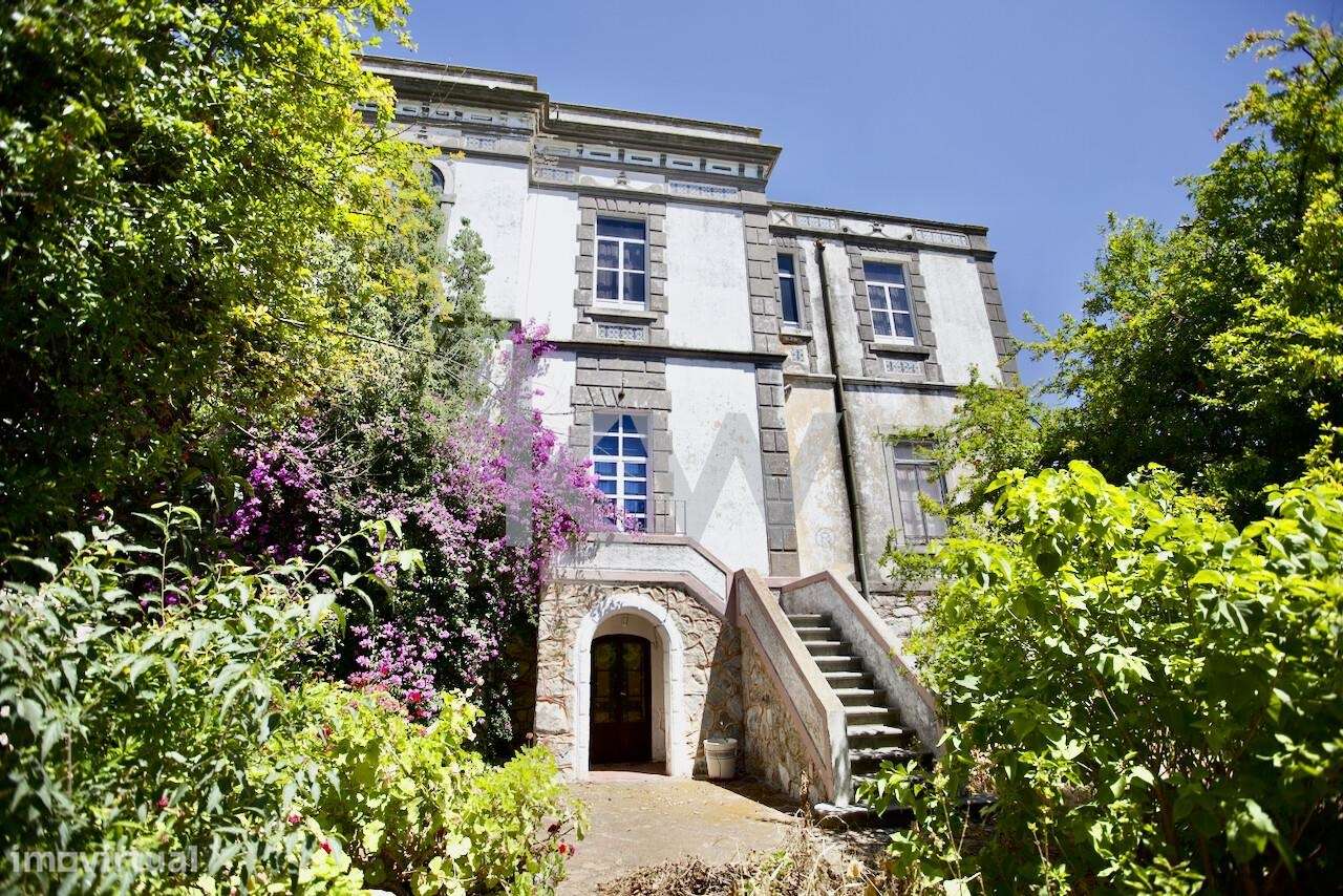 Palacete em Serpa: Uma Oportunidade Imperdível para apaixonados do Ale - Grande imagem: 2/51