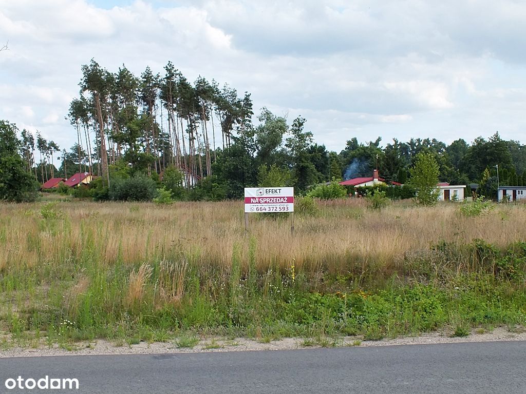 W sąsiedztwie Jeziora Dziadkowskiego