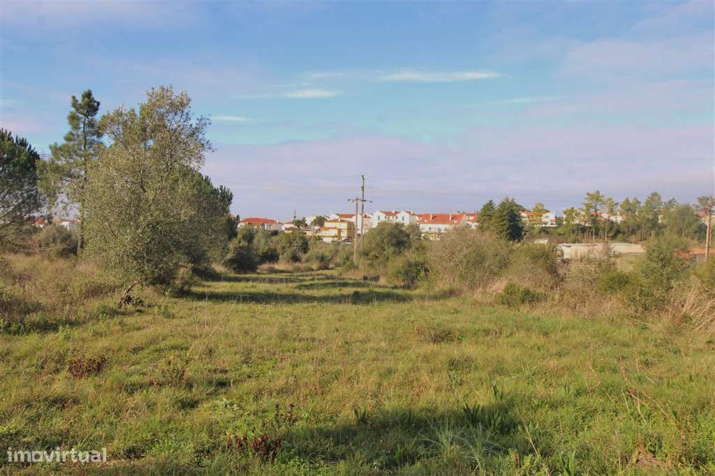 Terreno para construção , Cernache - Grande imagem: 2/13