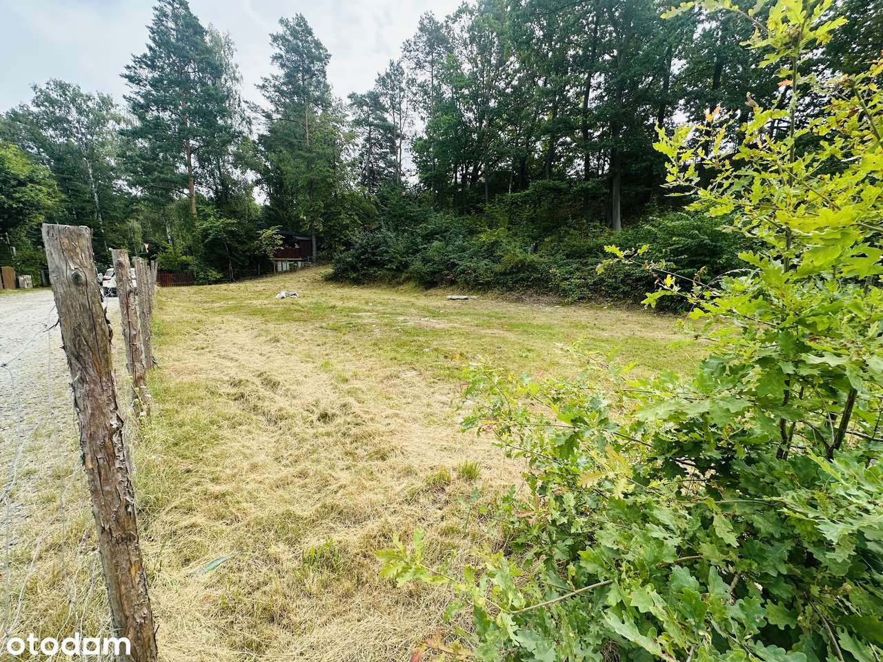 Działki przy jeziorze Rokitki - Pełny obrazek: 5/7