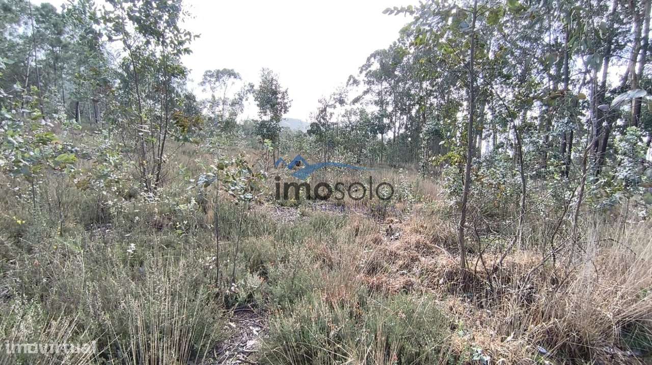 Terreno Rústico com 6350 m² em Zona Industrial-8