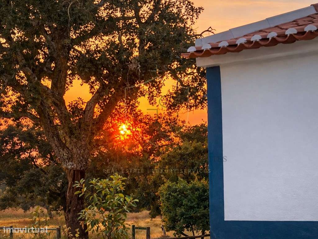 Propriedade Rural com 140 ha, Água Própria e Infraestruturas Operac... - Grande imagem: 5/19