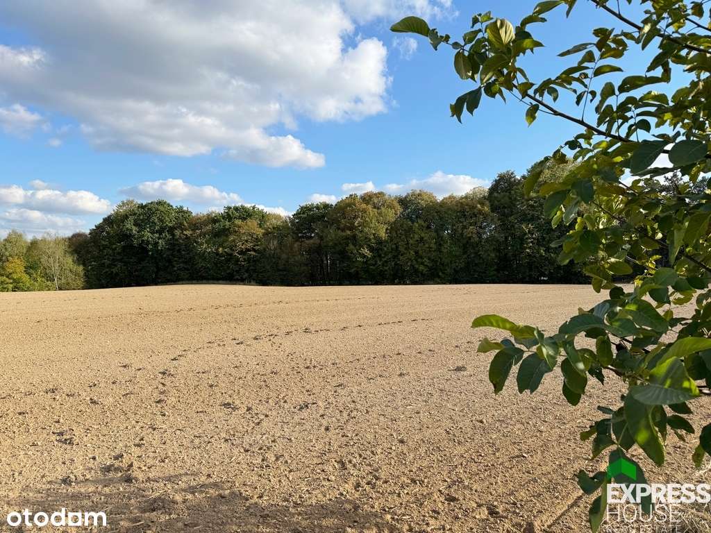 Piękna działka nieopodal wąwozu lessowego - Pełny obrazek: 4/15