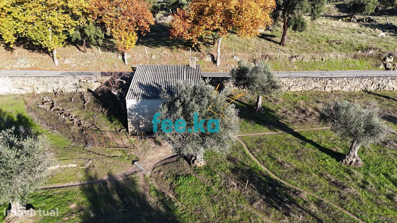 Quinta em Escalos de Baixo-36