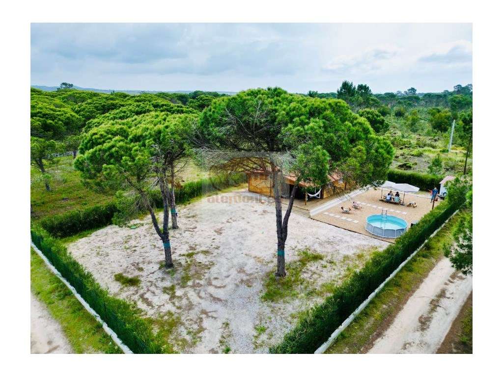 Terreno a 5 minutos da praia e lagoa de Melides! - Grande imagem: 2/13