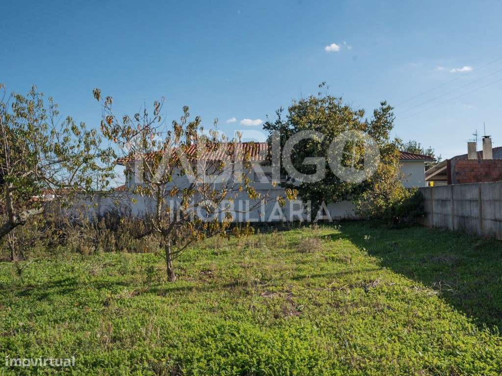 Moradia T3, rés do chão Coucinheira-6