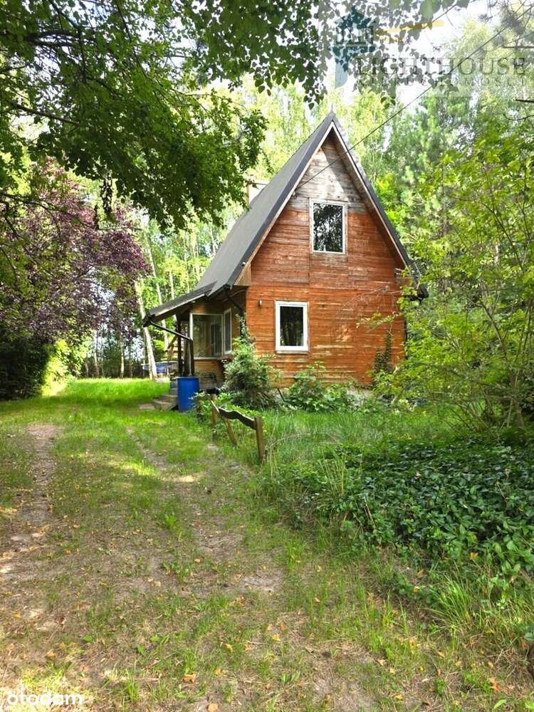 Działka 5 500mkw z lasem, stawem i domkiem - Pełny obrazek: 5/13