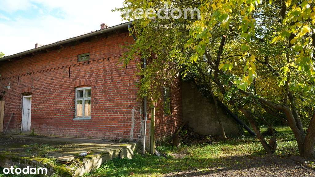 Mazurski dom przy jeziorze Ołów, Ryn - Pełny obrazek: 4/20