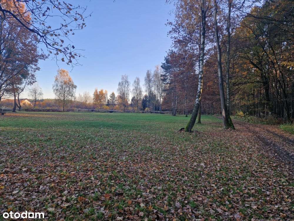 Nieborowice działka budowlana-0