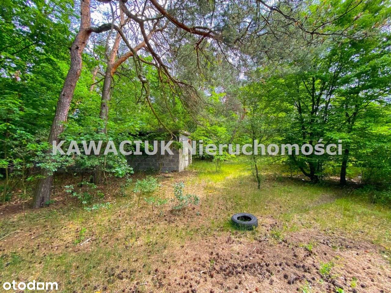 Działka Tomaszów Mazowiecki ul. Modrzewskiego - Pełny obrazek: 5/6