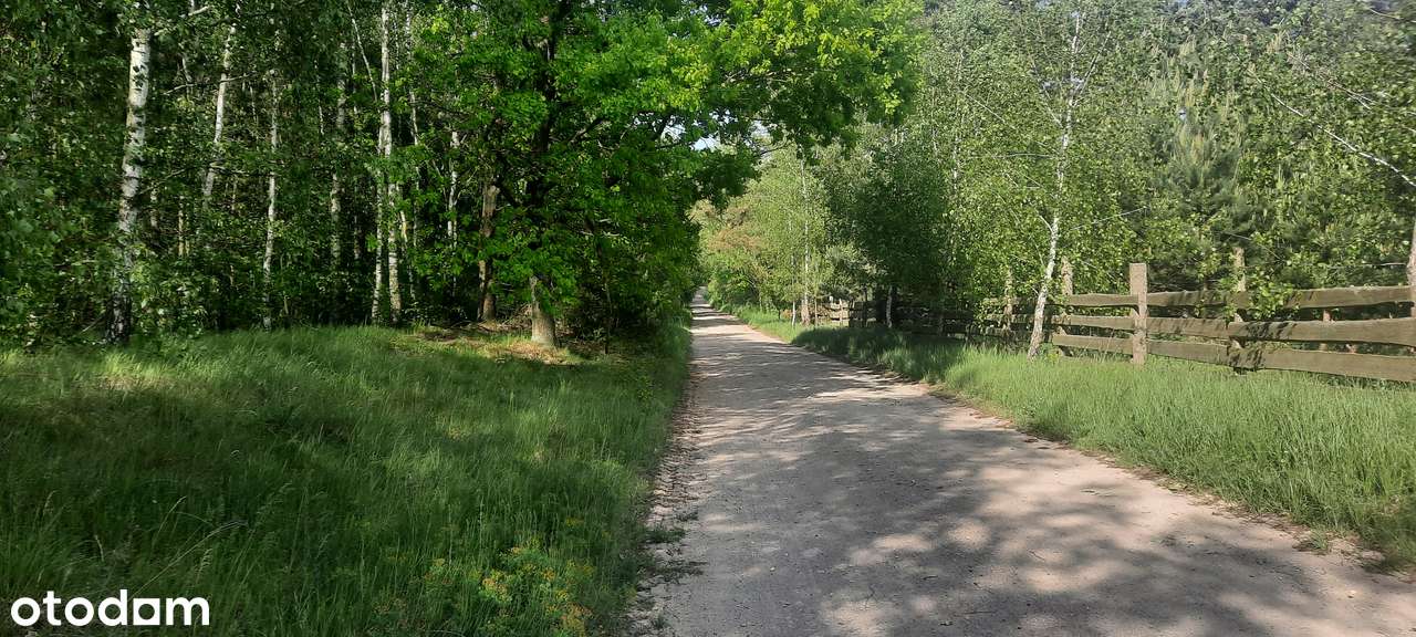 Działka SIEDLISKOWA 1MR 40km od Poznania lasy  jezioro, stadnina koni-15