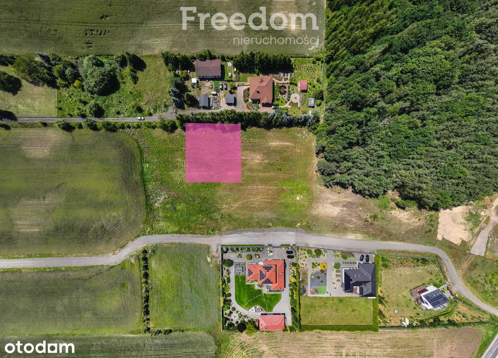 Działka przy lesie w  Radojewie. - Pełny obrazek: 3/9