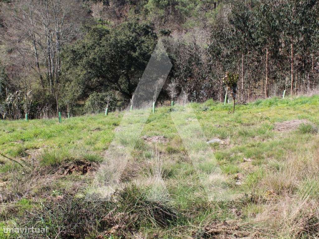 Terreno para Construção - Grande imagem: 5/21