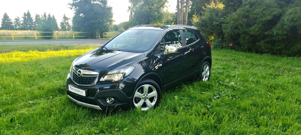 Opel Mokka I (2012-2019) 1.7 CDTI ecoFLEX Start/Stop Innovation 2013