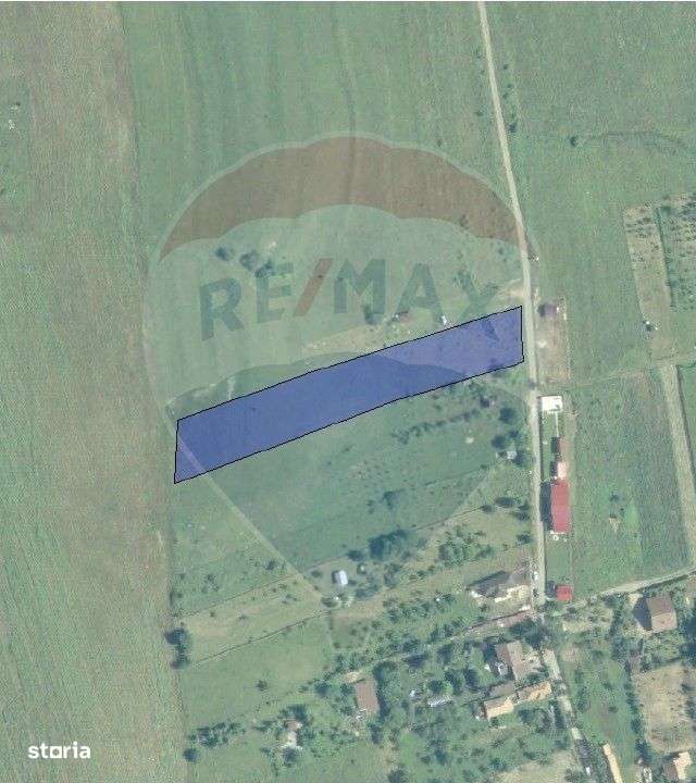 Teren intravilan de vânzare 2.307 mp – Sălicea, comuna Ciurila - Imagine principală: 5/9