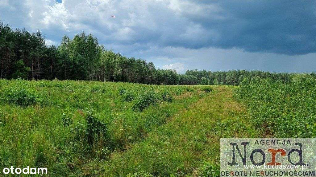 Działka, 16 000 m², Rudawka - Pełny obrazek: 5/13