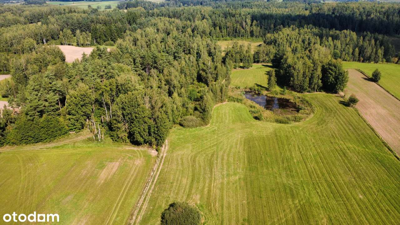 Przerośl - działka pod lasem - staw - 4 zł/m2-5