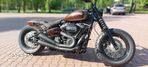 Harley-Davidson Softail - 9