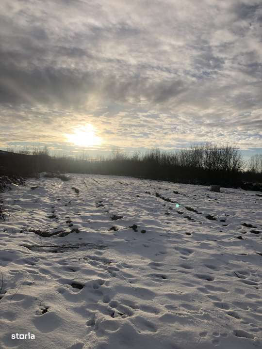 Teren intravilan | 2000 mp | de vanzare- Valea Avrigului - Imagine principală: 4/6