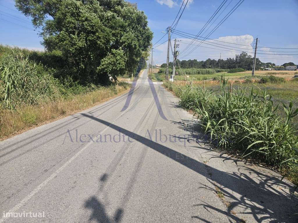 Quinta com 3 Habitações | Pinhal Novo | Terreno 5.400 m²-8