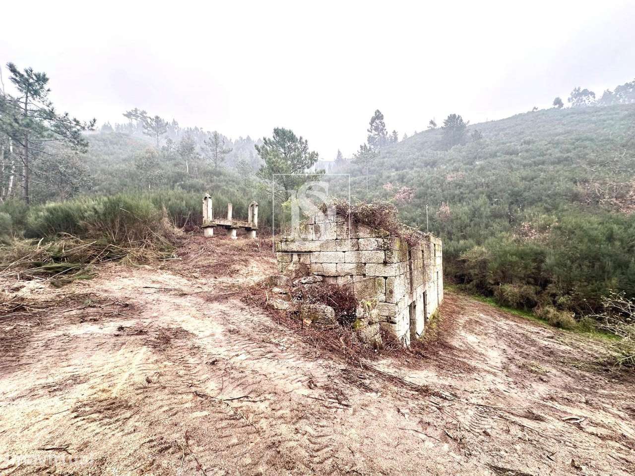 Quinta em Bustelo - Amarante - Grande imagem: 2/15