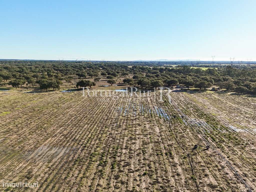Herdade de 60 hectares para criação bovina e equina perto de Lisboa-20