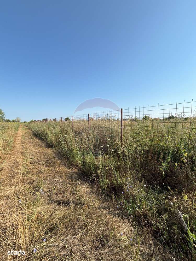Teren Tartasesti langa complex Buna Ziua - Imagine principală: 4/5