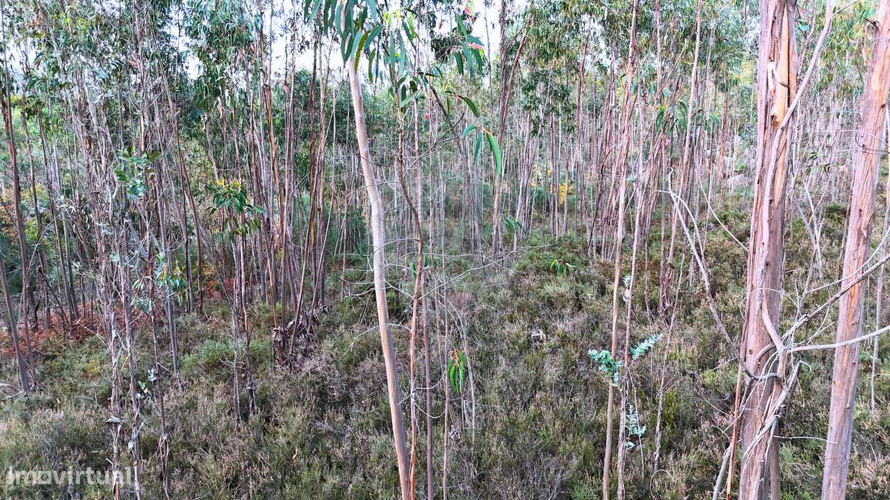 Terreno  para venda - Grande imagem: 5/5