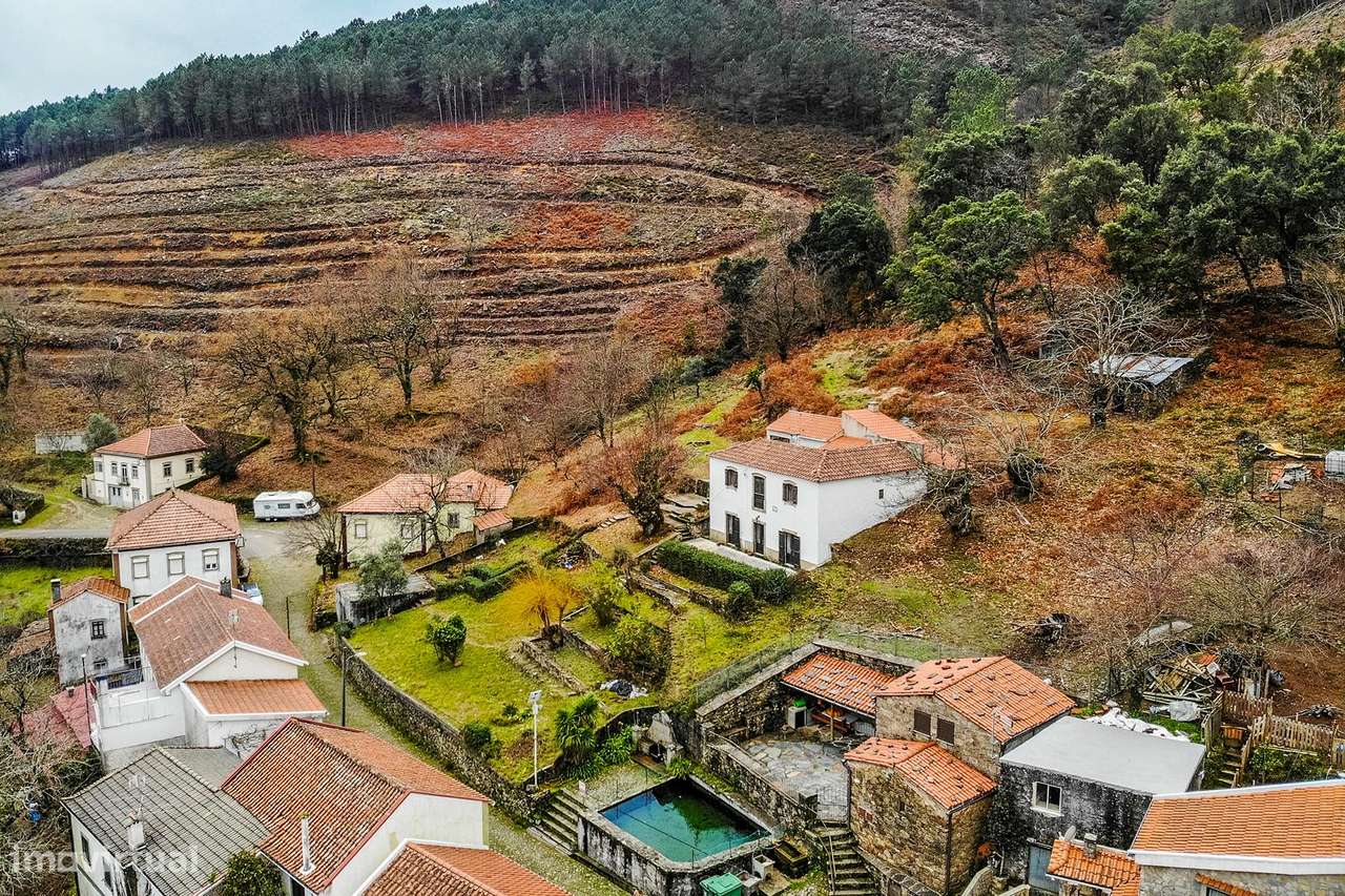Encantadora Moradia Isolada: Harmonia, Conforto e Natureza a Poucos Mi - Grande imagem: 5/23