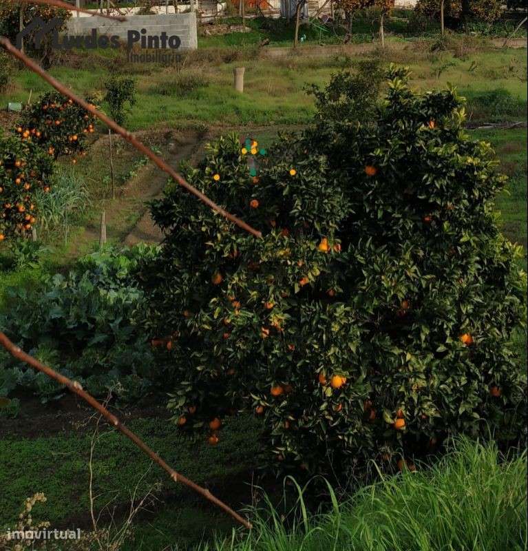 Lote Urbano com excelente localização - Grande imagem: 2/2