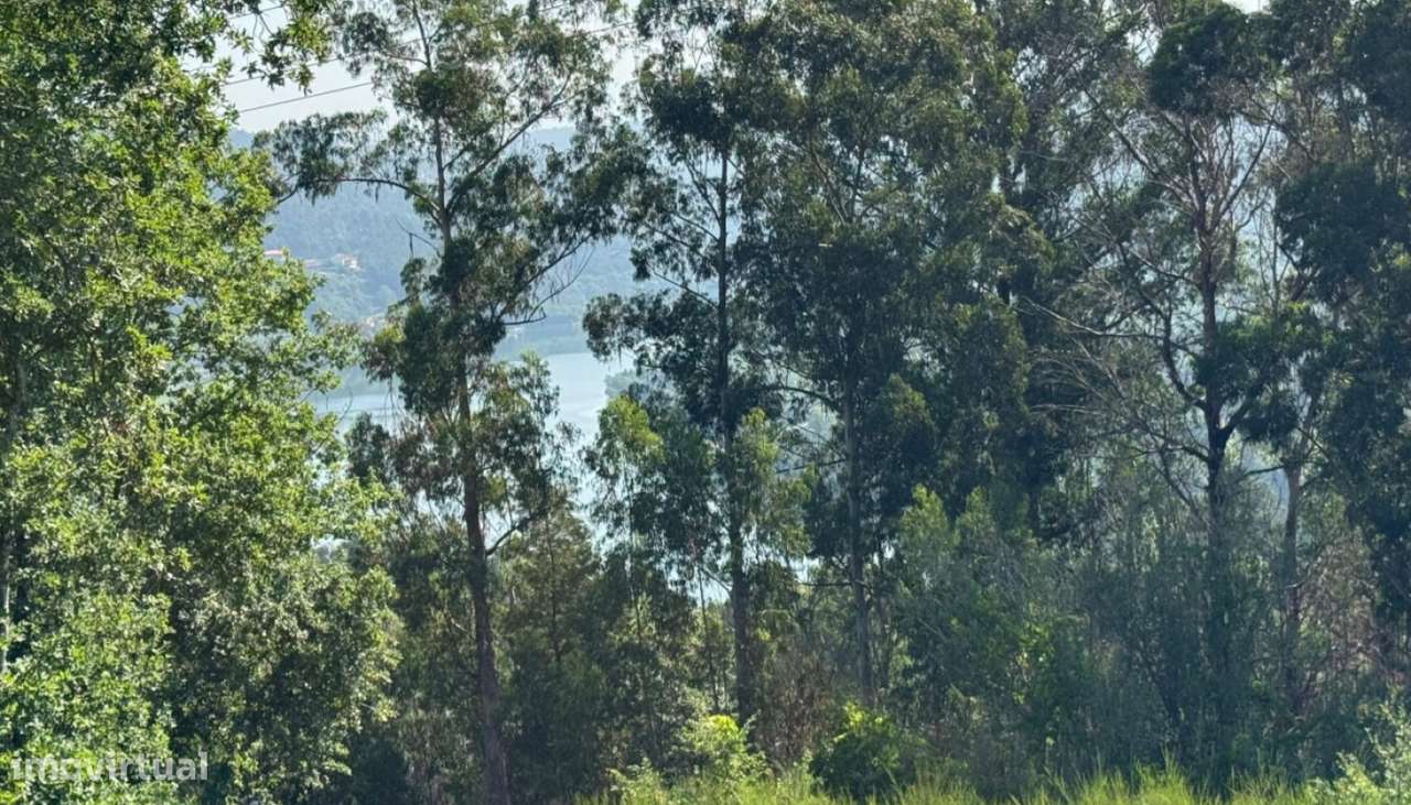 Venda Terreno, Boelhe, Penafiel-9