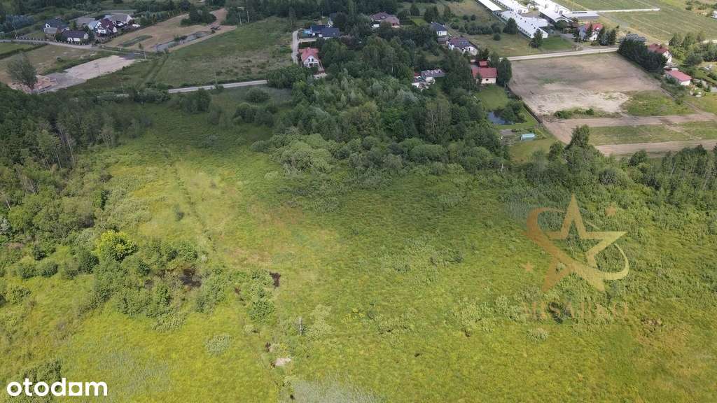 ⭐️Działka rolna - Lewickie -  warunki zabudowy⭐️ - Pełny obrazek: 4/4