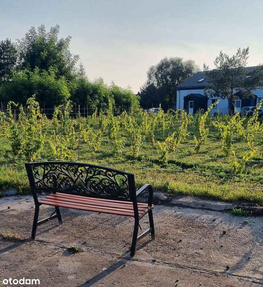 MROWINO - 1-pokojowe - Pełny obrazek: 3/9