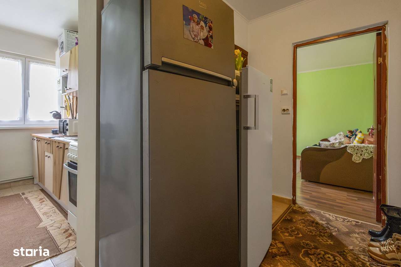 De vanzare apartament 2 camere in Buzias-3