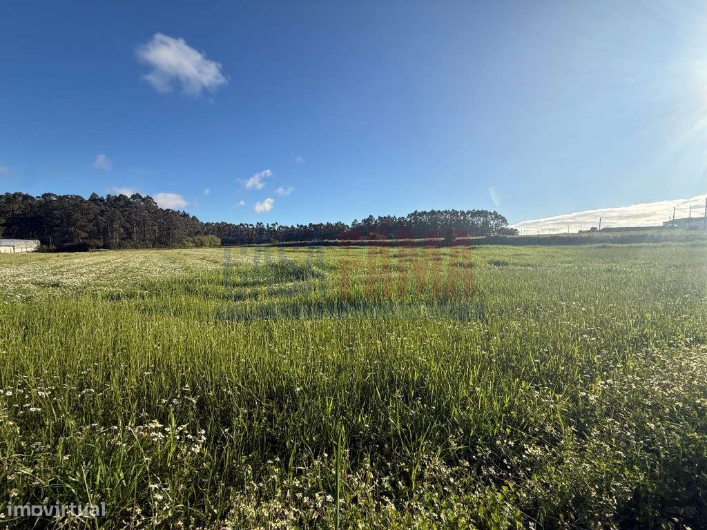 Terreno Rústico com 3.937 m² na Estela - Excelente Frente e Exposiç... - Grande imagem: 5/23