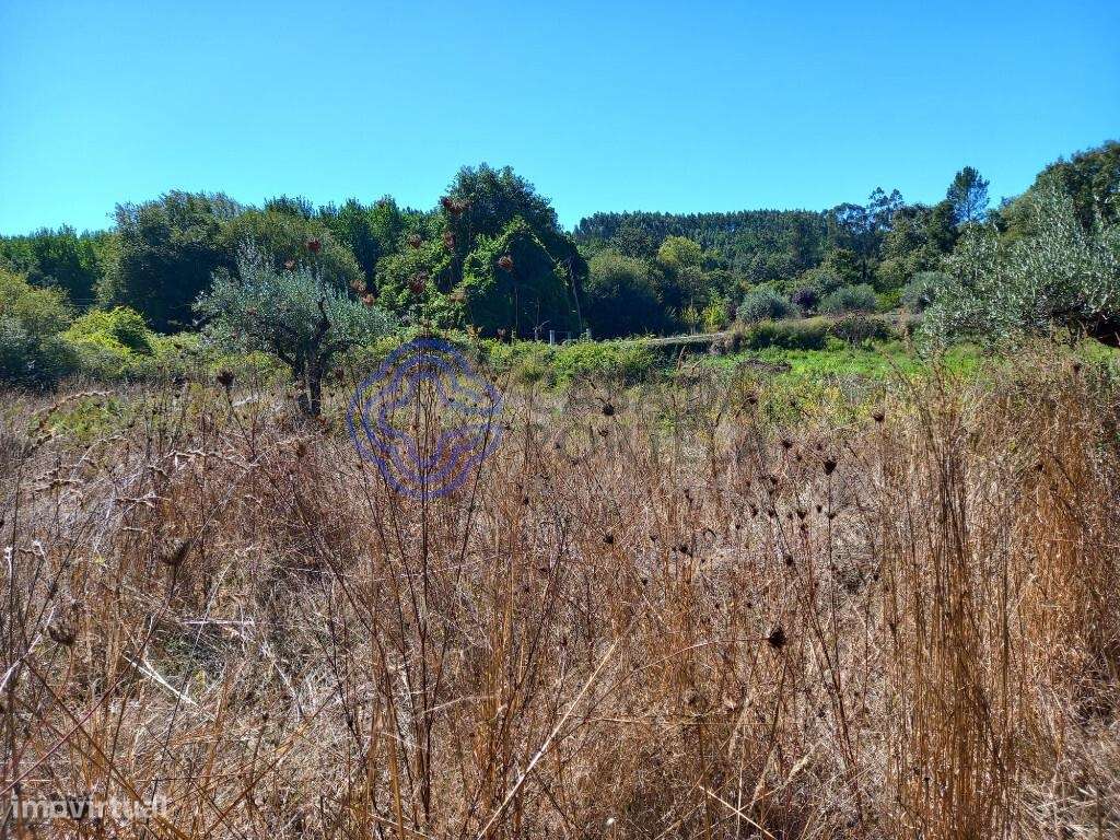 Terreno agrícola com uma ribeira a 10 minutos de Dornes-6