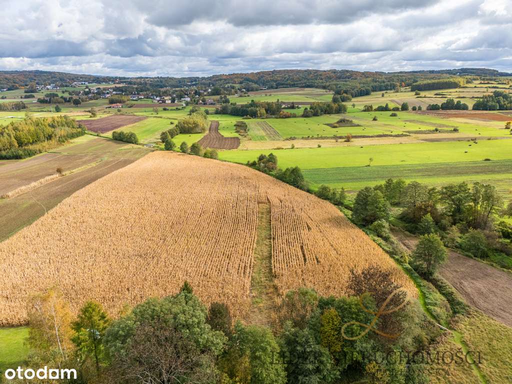 Widokowa działka zagrodowa z WZ w Umieszczu - Pełny obrazek: 5/16