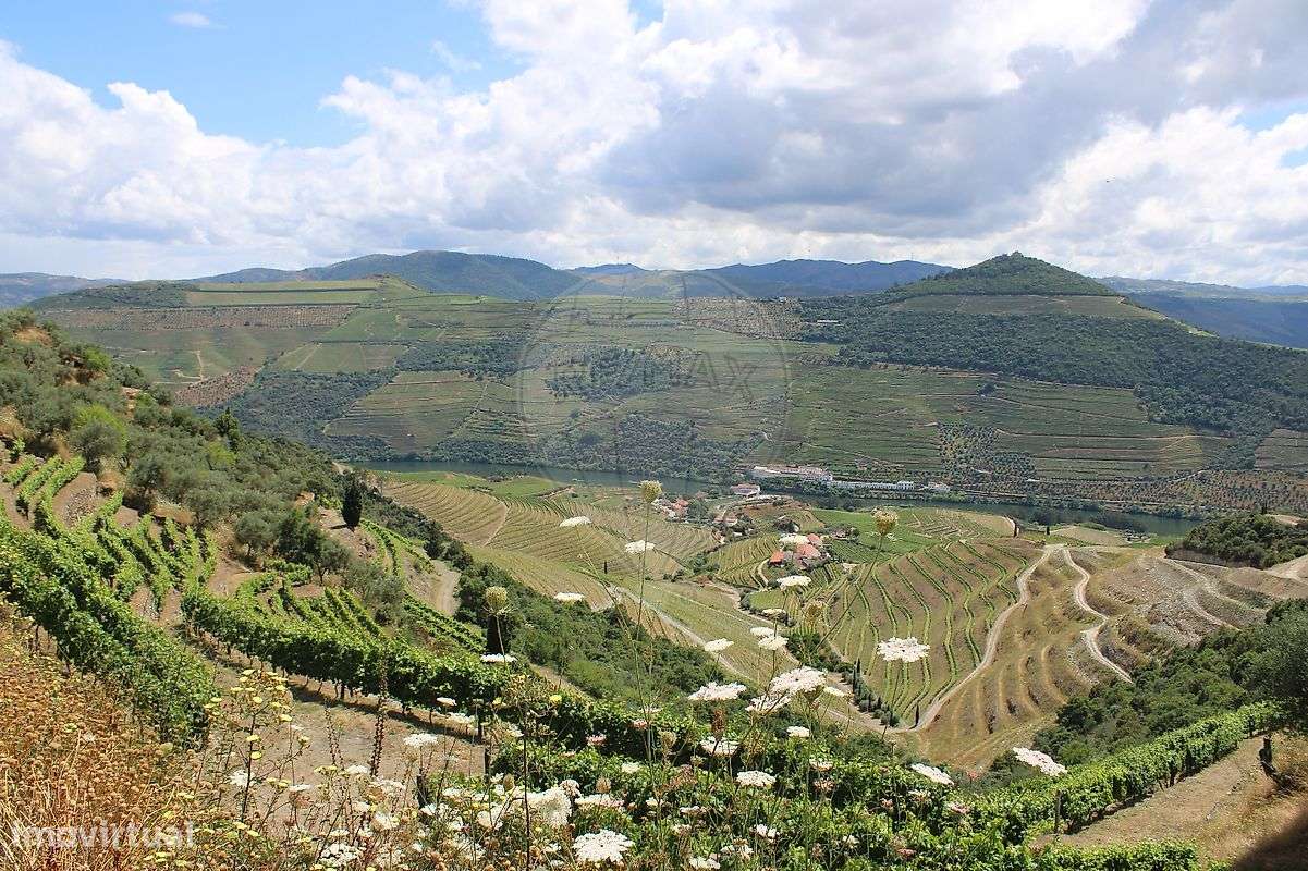 Terreno  para venda - Grande imagem: 4/14