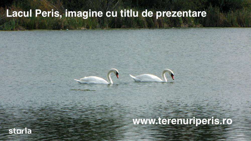Teren lac Peris IN RATE 1000€, terenuri Tancabesti, Snagov, Corbeanca-4