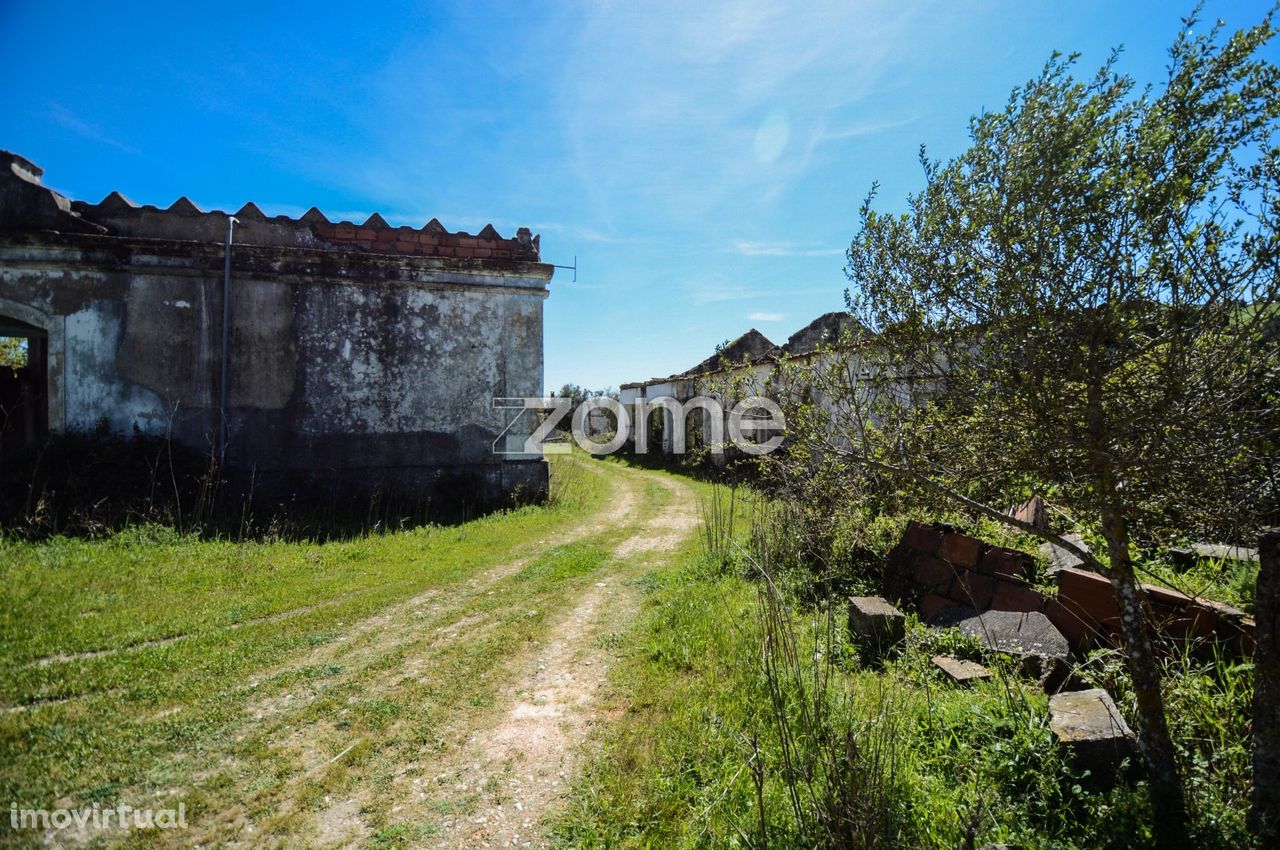 Quinta 19 hectares Rio Maior, Santarém