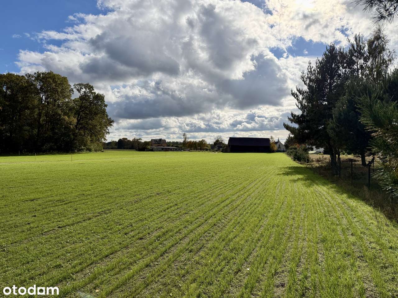 Działki przy jeziorze Lucieńskim i lesie państwowym-7