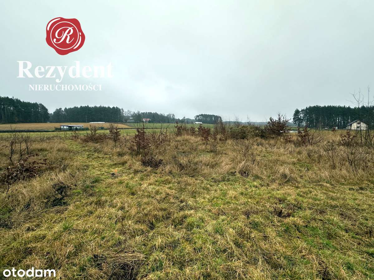 Działka na obrzeżach Sępólna Krajeńskiego-5
