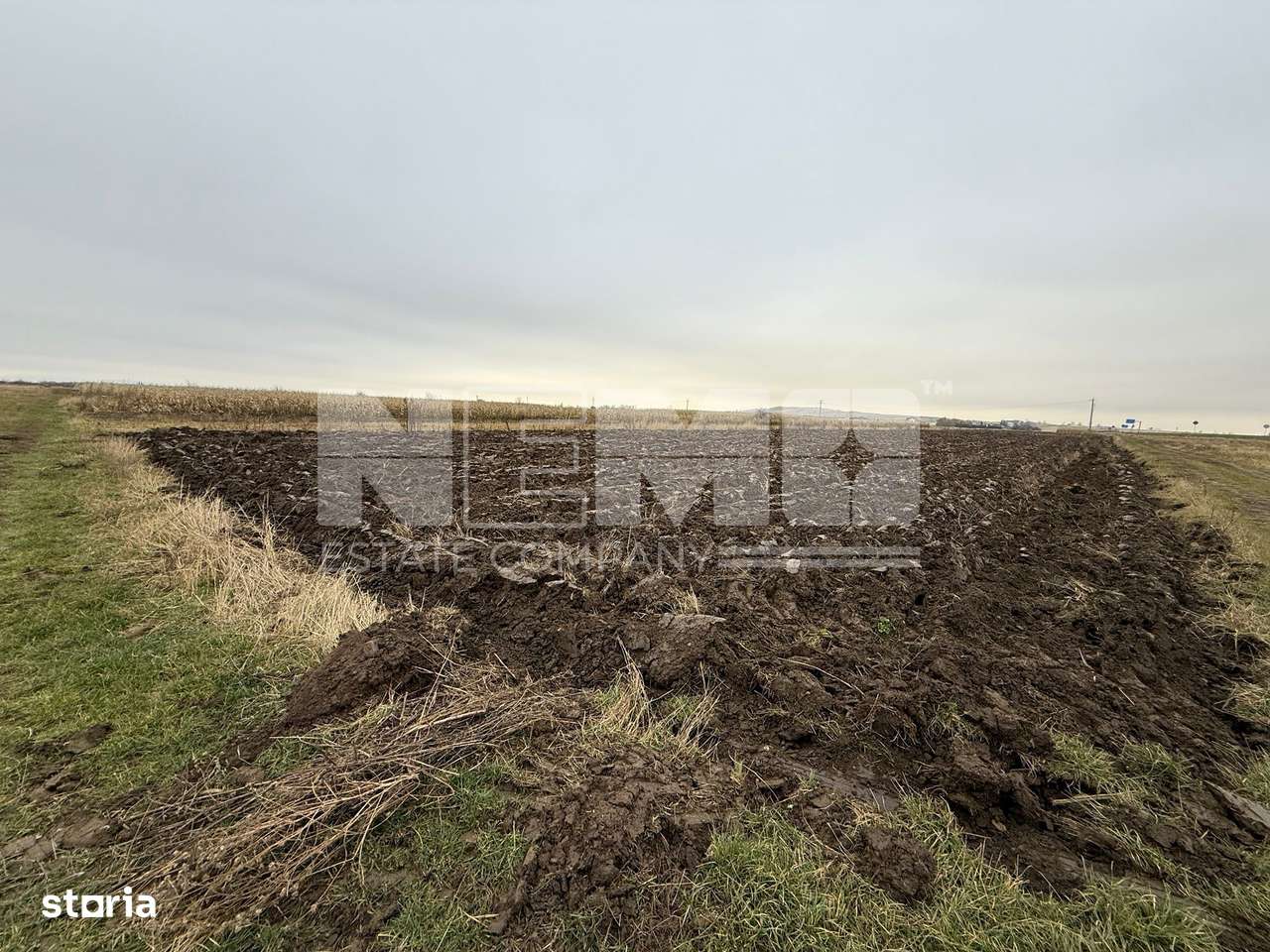 Parcela teren agricol 50 Ari - Imagine principală: 4/10