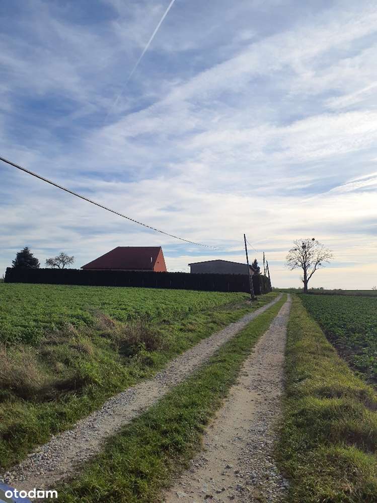 Budynek mieszkalny z garażem i budynkiem gospodarczym LICYTACJA-3