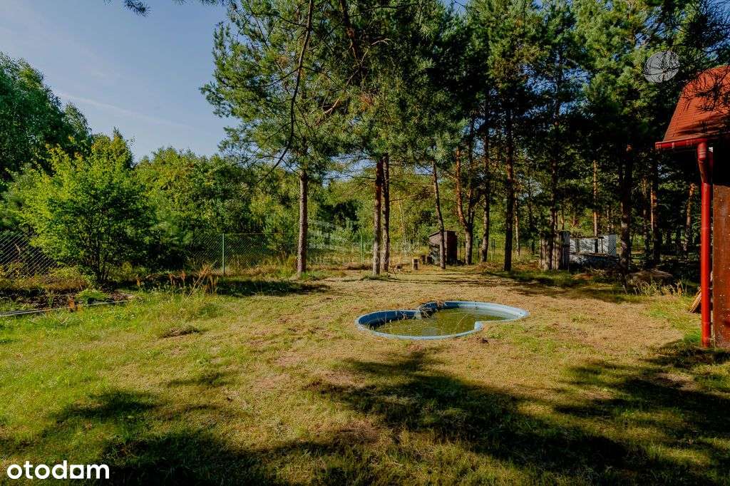 Unikatowy dom letniskowy 70 m2, k. Siemianówki - Pełny obrazek: 5/20