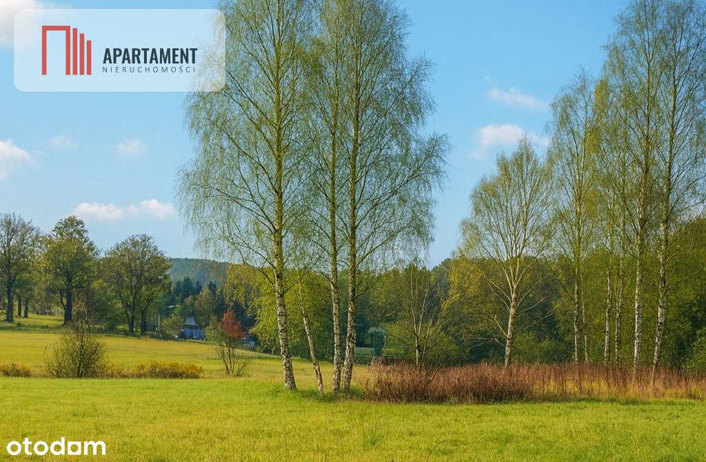 Piękne działki nad jeziorem Pile w Piławie - Pełny obrazek: 4/6