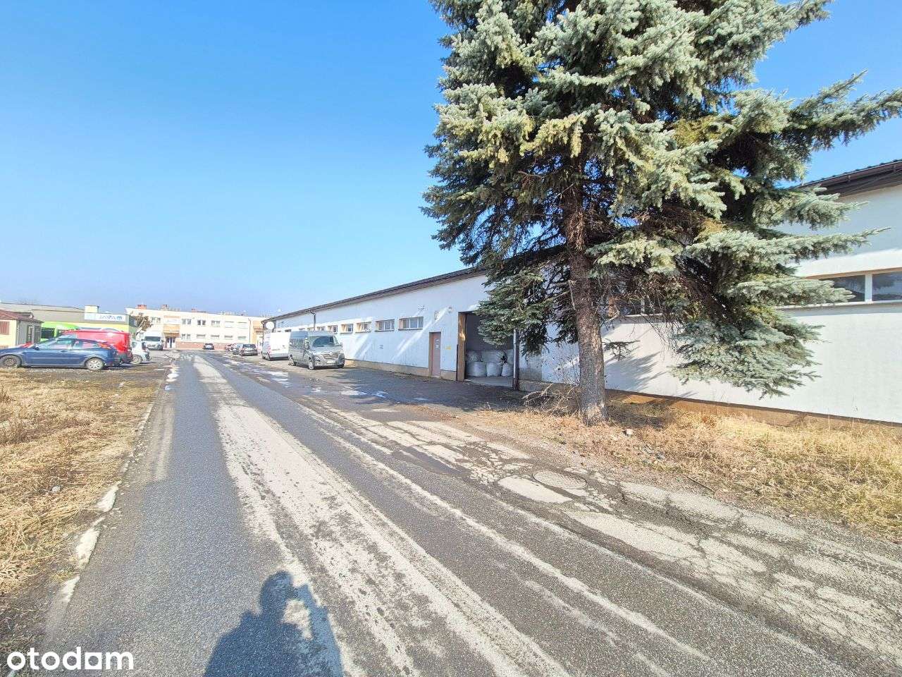 Magazyn 246 m² do wynajęcia – Krosno, ul. Pużaka od 1 września. - Pełny obrazek: 5/10