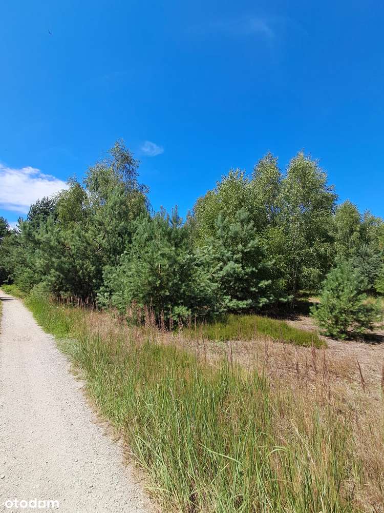 Działka budowlana o powierzchni 1686 m2, Prażuchy Nowe-6