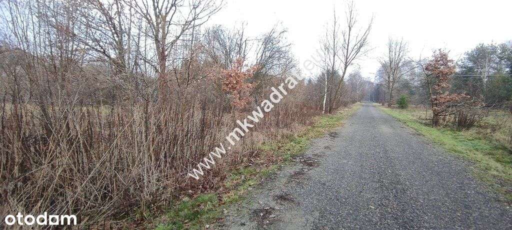 ⭐⭐⭐⭐ Działka Budowlana 4851 M Budy Grzybek ⭐⭐⭐⭐-11